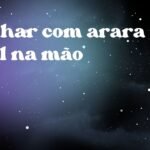 Sonhar com arara azul na mão