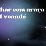 Sonhar com arara azul voando