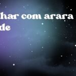 Sonhar com arara verde