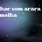 Sonhar com arara vermelha