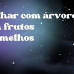 Sonhar com árvore com frutos vermelhos