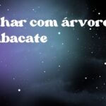 Sonhar com árvore de abacate