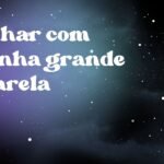 Sonhar com aranha grande amarela