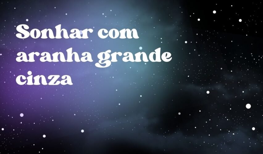 Sonhar com aranha grande cinza