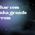Sonhar com aranha grande marrom