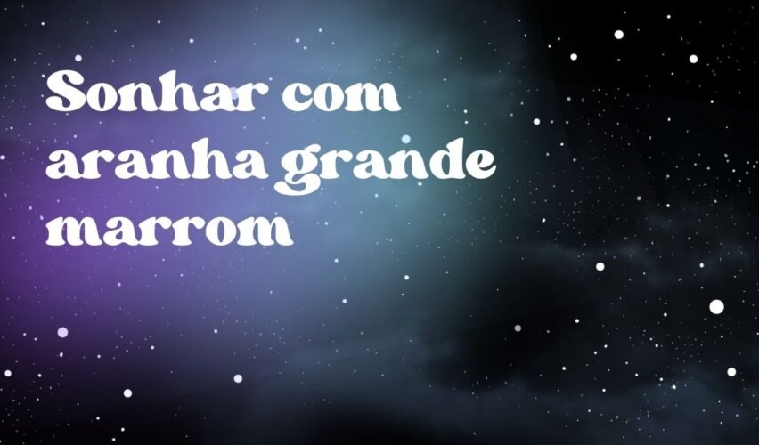 Sonhar com aranha grande marrom