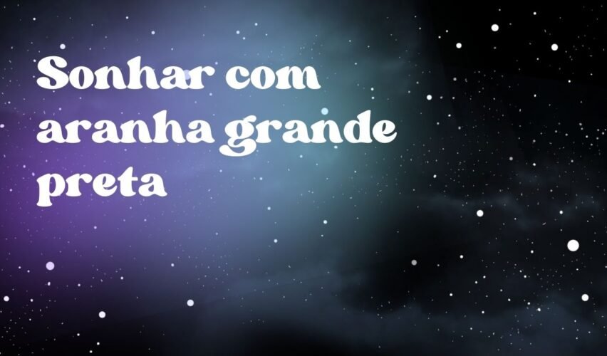 Sonhar com aranha grande preta