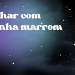 Sonhar com aranha marrom