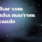 Sonhar com aranha marrom atacando