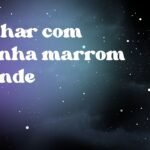 Sonhar com aranha marrom grande