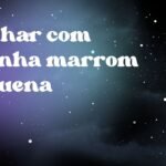 Sonhar com aranha marrom pequena