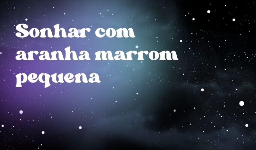 Sonhar com aranha marrom pequena