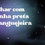 Sonhar com aranha preta caranguejeira