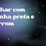 Sonhar com aranha preta e marrom