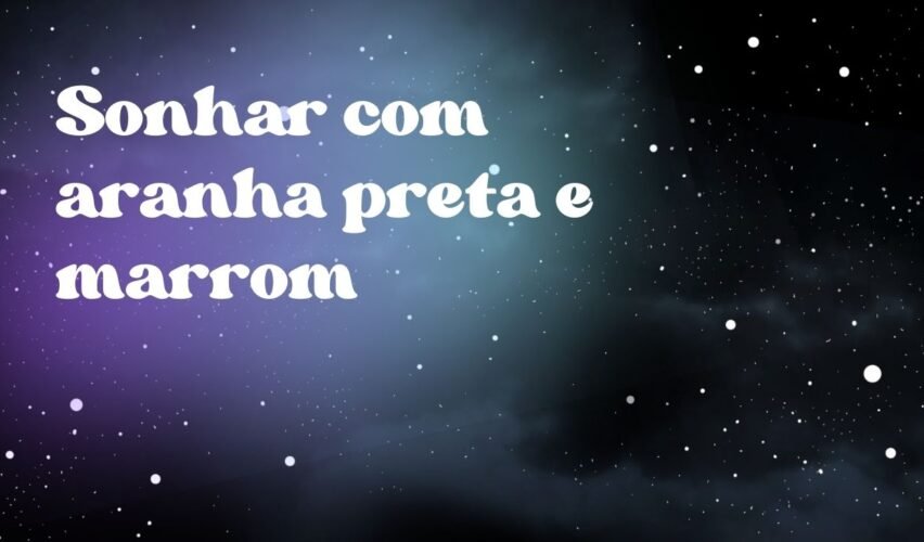 Sonhar com aranha preta e marrom