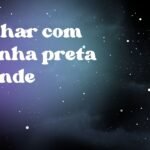 Sonhar com aranha preta grande