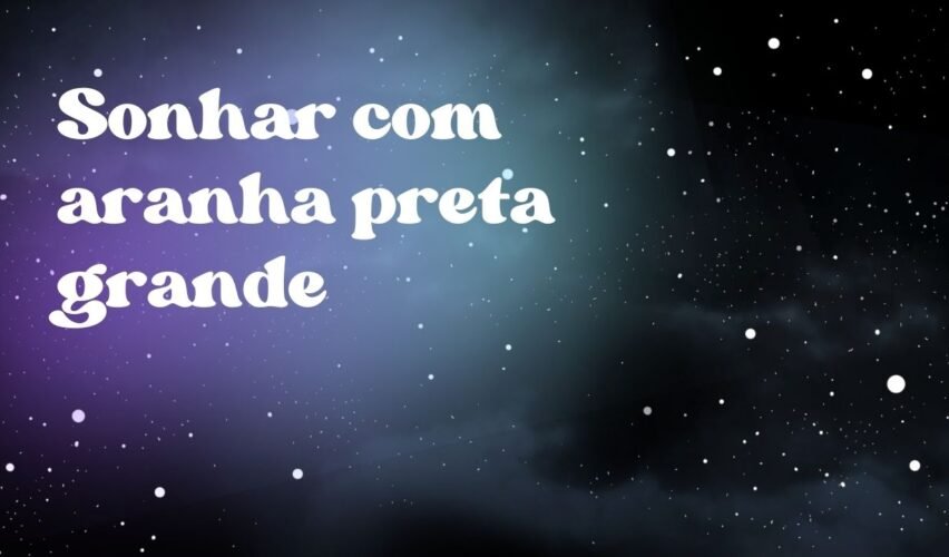 Sonhar com aranha preta grande