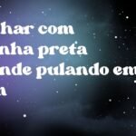 Sonhar com aranha preta grande pulando em mim