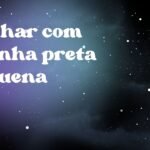 Sonhar com aranha preta pequena