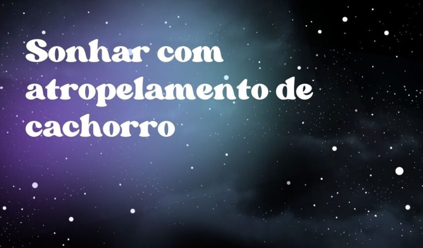 Sonhar com atropelamento de cachorro