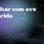 Sonhar com ave colorida