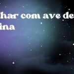Sonhar com ave de rapina