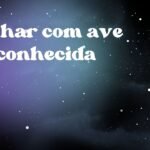 Sonhar com ave desconhecida