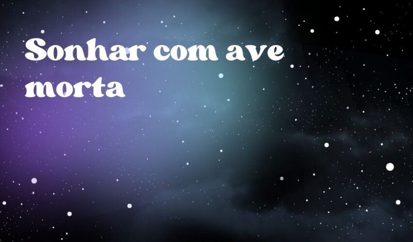Sonhar com ave morta