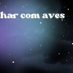 Sonhar com aves
