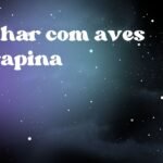 Sonhar com aves de rapina