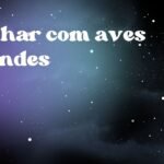Sonhar com aves grandes