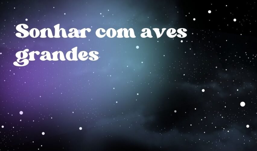 Sonhar com aves grandes