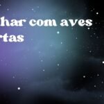 Sonhar com aves mortas