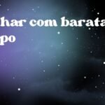 Sonhar com barata e sapo