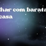 Sonhar com barata em casa