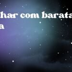 Sonhar com barata viva