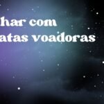 Sonhar com baratas voadoras