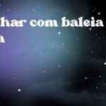 Sonhar com baleia orca