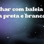 Sonhar com baleia orca preta e branca