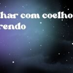 Sonhar com coelho correndo