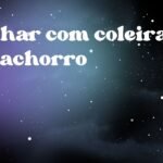 Sonhar com coleira de cachorro