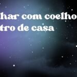 Sonhar com coelho dentro de casa