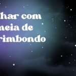 Sonhar com colmeia de marimbondo