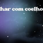 Sonhar com coelho do