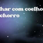 Sonhar com coelho e cachorro