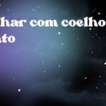 Sonhar com coelho e gato
