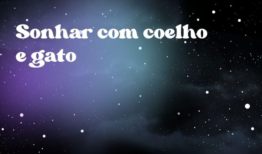 Sonhar com coelho e gato