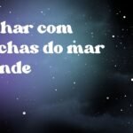 Sonhar com conchas do mar grande
