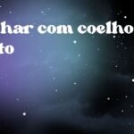 Sonhar com coelho preto