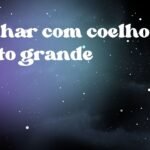 Sonhar com coelho preto grande